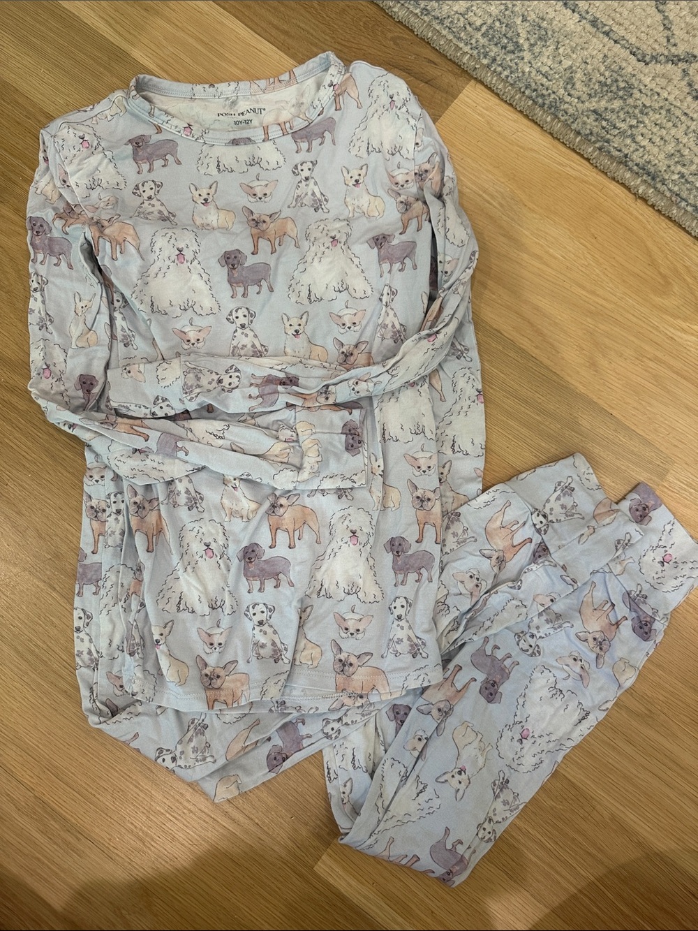 Posh Peanut Light Blue Dog Print Pajama Set
